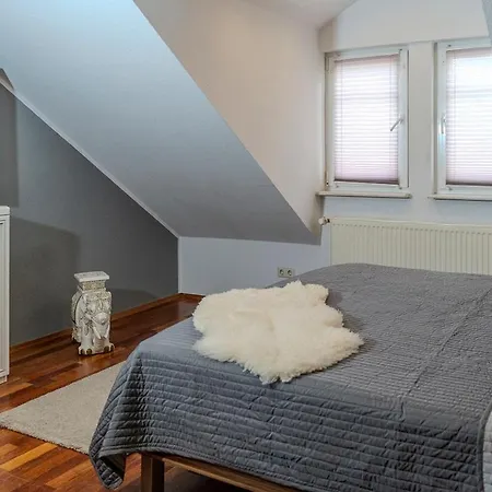 1br Downtown, 1min To Station, 5min To Rab Ramstein-Miesenbach